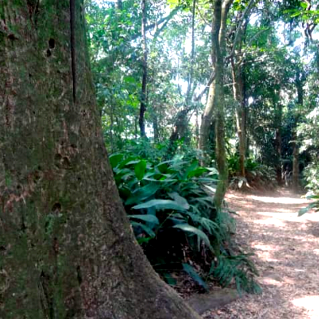 Parque da Previdência